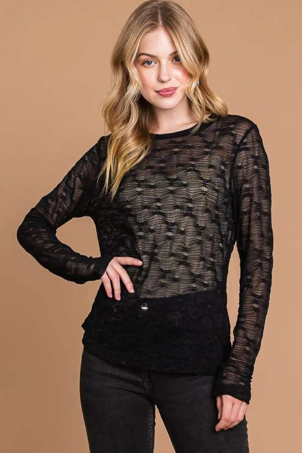 Round Neck Mesh Perspective Top in black, long-sleeved with textured pattern, worn by a woman